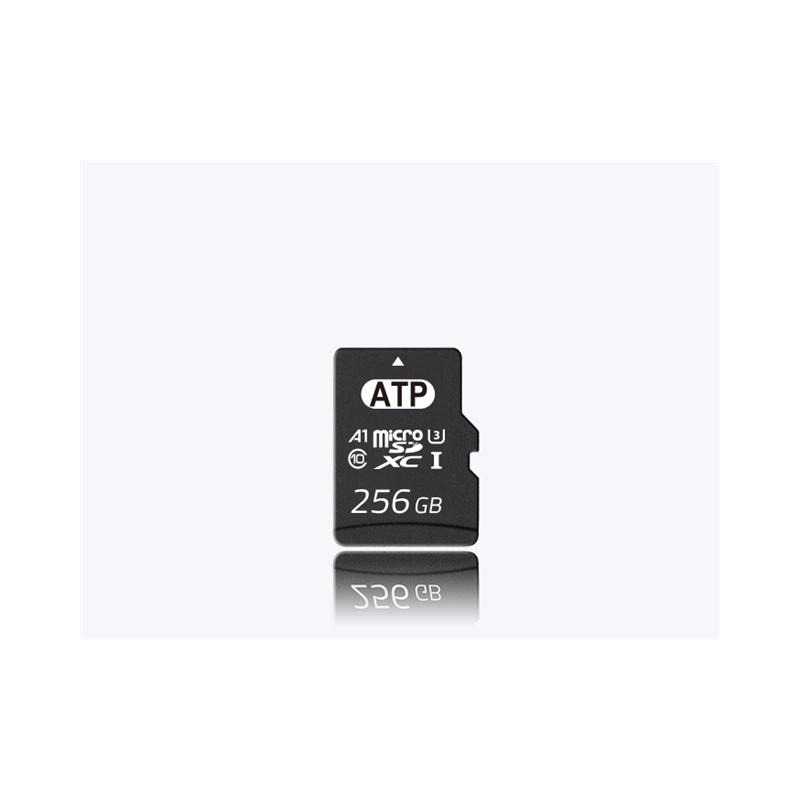AF256GUD4-BBAXM