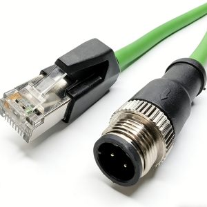 t4162224008 003